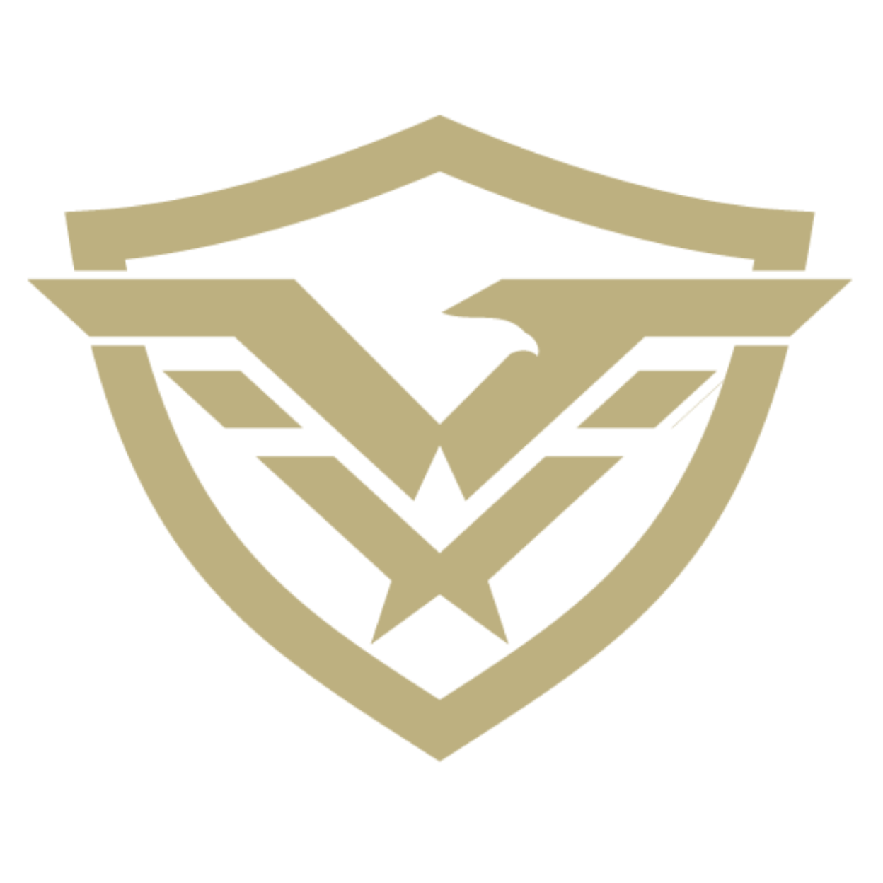 CESMA Seguridad Privada